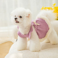 Bow Sweater Skirt Princess Wind Pet Two-legged Clothes