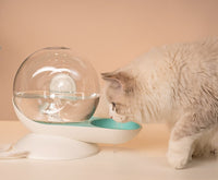 Cat drinking fountain filtering automatic drinking fountain