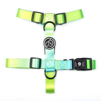 Pet Leash For Small Dogs Medium And