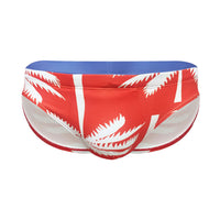 Men's Fashion Casual Quick-drying Swim Briefs