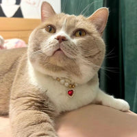 Popular Internet Celebrity Cat Pearl Necklace
