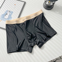 Ice Silk Men's Cotton Crotch Boxer Briefs Boys Teenagers Traceless Plus Size