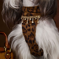 Dog Clothes Autumn Leopard Print Dress