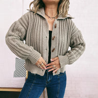 Lapel Long Sleeve Vintage Single-breasted Commute Leisure Thick Sweater