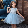 Children's Dress Floral Princess Dress One Year Old Celebration Dress Girls Dress Mesh Flower Children's Dress