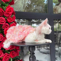 Hairless Cat Clothes Double-Layer Mesh 3D Rose Princess Dress