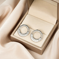 Premium Fashion Irregular Earrings, High-End Unique Niche Design, Stainless Steel Earrings Jewelry For Women