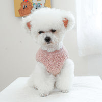 Autumn And Winter New Pocket Vest Pet Clothes
