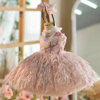 Feather Sun Pendulum Children Birthday Princess Dress
