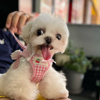 Pet's Chest-back Hand Holding Rope Small Dog