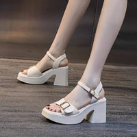 Chunky Heel Waterproof Platform Super High Heel Platform Sandals