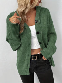 Solid Color Hooded Single-breasted Sweater