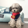 Printed Bear Sweater Shedding To Keep Warm