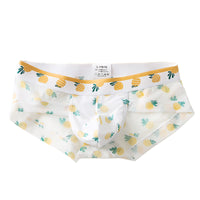 Fashion Transparent Mesh Boys Underwear Printing
