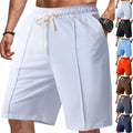 Men's Casual Sport Ribbed Solid Color Shorts