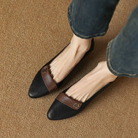 Spring New Comfort Pointed-toe Soft Bottom Versatile Color Matching Women's Shoes
