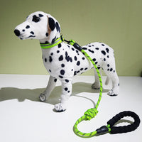 New Model Reflective Collar For Pet Dogs, With A Decorative Necklace And A Leash.
