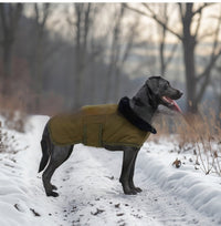 The Same-style Dog Coat Is Durable Long-lasting And Cold-resistant