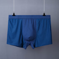Men's Boxer Plus Size Ice Silk See Through Breathable Mesh Thin Boxer Shorts