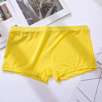 Men's Ice Silk Thin Transparent Boxer Briefs