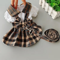 Dog Dresses For Outdoor Walks With A Leash
