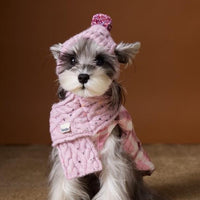 Pet Dog Supplies Accessories Wool Hat Scarf