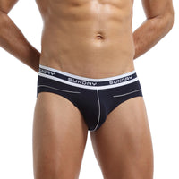Low Waist Young Men's Underwear Sexy Men's Briefs Comfortable Sports Breathable Briefs