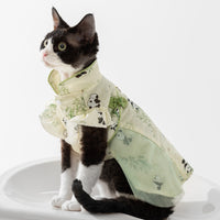 Chinese Style Panda Bamboo Leaf Couple Dress Hairless Cat Skirt
