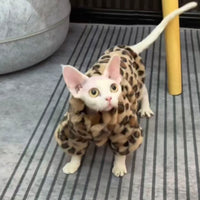 Hairless Cat Thickened Leopard Print Fur Coat With Fleece Lining Double Layer For Warmth