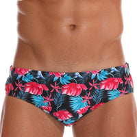 Men's Shorts Triangle Stripe Swimming Sports