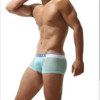Striped Transparent Sexy Underwear Boxers
