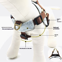 Dog Leash Vest Style Pet Chest Harness For Small And Medium-sized Dogs