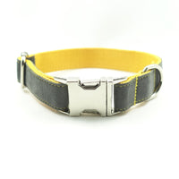 Original New Dog Collar Retractable Dog Leaning Dog Collar Original new dog collar retractable dog leaning dog collar