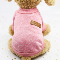 Autumn And Winter Pet Fashion Knitwear Hoodie