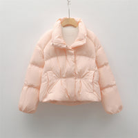 New Small Stand-collar Solid Color Simple Down Jacket For Women
