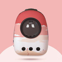Go Out Portable Cat Backpack Space Capsule Pet  School Bag Supplies