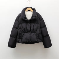 New Small Stand-collar Solid Color Simple Down Jacket For Women