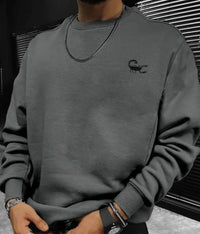 Men's Autumn Leisure Coat Cotton Terry Long-sleeved Sweater Street Solid Color Round Neck Sweater