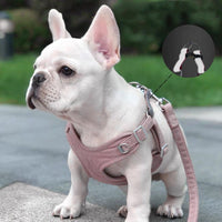 Lightweight Reflective Traction Rope For Dogs