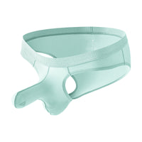 Low Waist Briefs Underwear Ice Silk Men's Sexy Panties