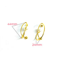 Stainless Steel Cool Ins French Fashion Earrings
