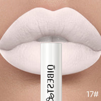 24-color Matte Liquid Lipstick