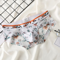 Fashion Transparent Mesh Boys Underwear Printing