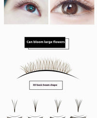 Single Flowering Deep Coffee Planting Grafting False Eyelashes