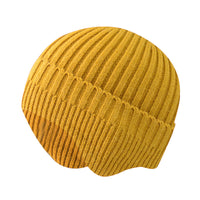 Fashionabl Warm Pure Color Ear Protection Wool Knitted Hat