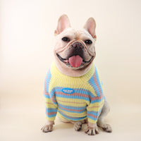 Dog Clothes Pet Clothes Autumn And Winter Jarre Aero Bull Schnauzer Bichon Maltese Xi Shi Small Sweater
