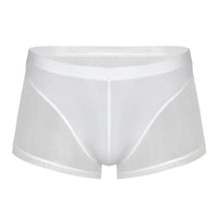 Thin Men's Mesh Translucent High Elastic Low Waist Panties
