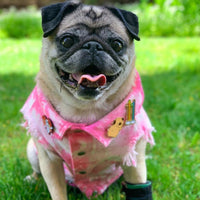 Pet Dog Washed Denim Jacket Clothes
