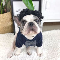 Dog Sweater Pet Trendy Brand Clothes Dress Sweater Bottoming Shirt