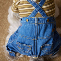 Dog Clothes Autumn And Winter Teddy Schnauzer Bichon Fleece-lined Thickened Handsome Jeans